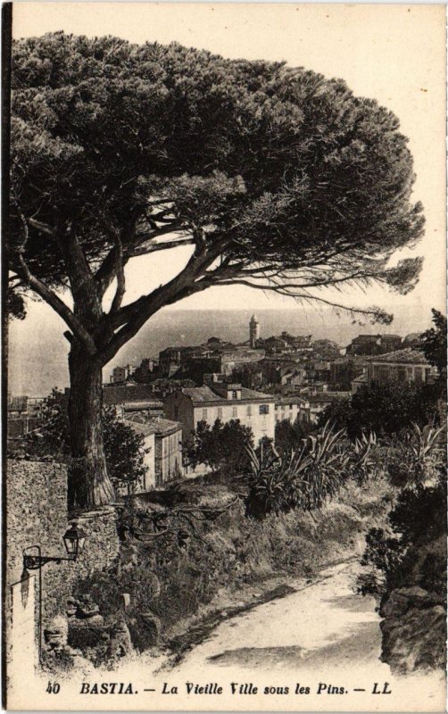 CPA Bastia - La vieille ville sous les Pins (108267)