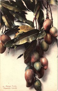 Hawaiian Islands Mango Fruits Private Mailing Card Postcard c1907