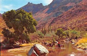Sabino Canyon - Tucson, Arizona