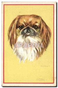 Postcard Old Dog Dogs Puppy