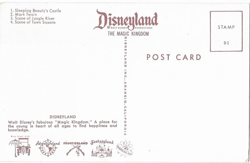 Split View Disneyland Magic Kingdom California