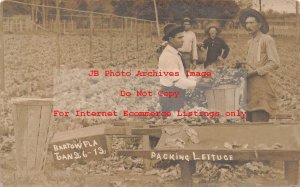 FL, Bartow, Florida, RPPC, Farmer Packing Lettuce, Farm, 1912 Photo