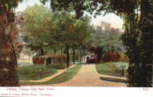 Vintage Postcard 1910's Dallas Texas City Park Recreation View Smith & Lamar