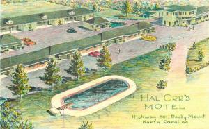 Artist Birdseye Hal Orr's Motel Postcard Rocky Mount North Carolina 1245