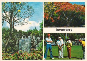 Multi View Golf Course Inverrarry Florida
