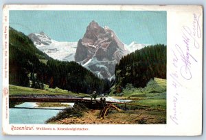 Rosenlaui Bern Switzerland Postcard Wellhorn and Rosenlaui Glacier 1902