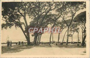 Old Postcard Juan les Pins Pinede