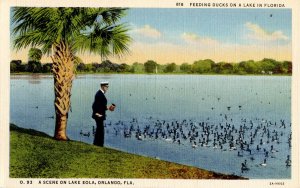 FL - Orlando. Lake Eola, Feeding Ducks