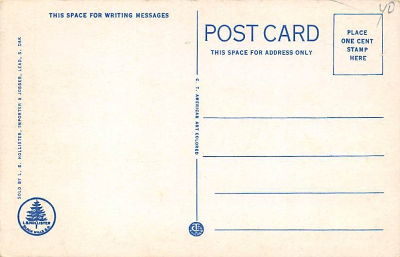 Homestake Mills Lead SD Postcard