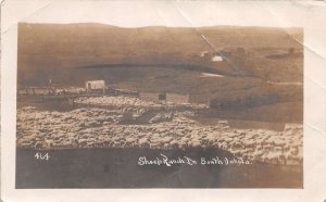 Morristown Thunder Hawk South Dakota Sheep Ranch Real Photo Postcard AA74672