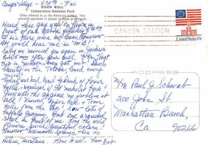 Yellowstone National Park - Bison Bull