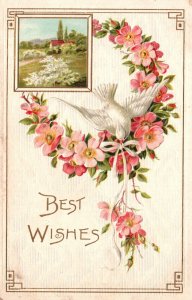 Vintage Postcard 1909 Best Wishes White Bird Pigeon Flowers House Field Greeting