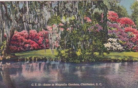 South Carolina Charlestton Scene In Magnolia Gardens 1948