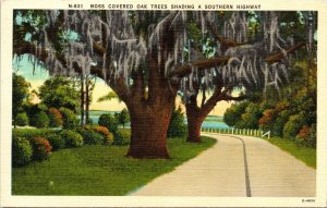 Moss Covered Oak Trees Shading Wouthern Highway Linen Vintage Unp Postcard