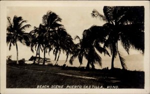 Puerto Castilla Honduras Beach & Palms c1940 Real Photo Postcard