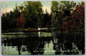 Postcard Blind River Ontario 1910s West Branch Canoe Scenic View Algoma District