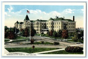 c1920 Aerial View Nebraska State Hospital Hastings Nebraska NE Vintage Postcard