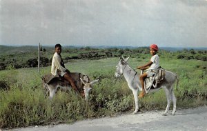 Young Antiguan Boys on Donkeys St. John's Antigua, West Indies Unused 