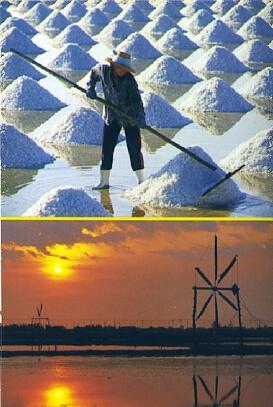 POSTAL 57135: Morning time at the salt field in Samootsongkram in Thailand