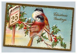 Vintage 1910's Christmas Postcard - Red Birds on Snow Branch Mistletoe Calendar