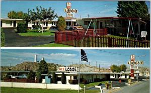 TRUTH or CONSEQUENCES, NM   ACE LODGE  c1960s  Roadside  Postcard