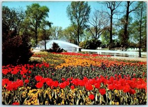 Postcard - Water Garden at Park Café - Federal Garden Show - Cologne, Germany