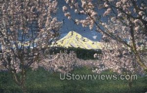 Mt Hood at Apple Blossom time - Oregon OR  