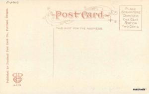 C-1910 Portland Oregon Olds Wortman King Department Store postcard 789