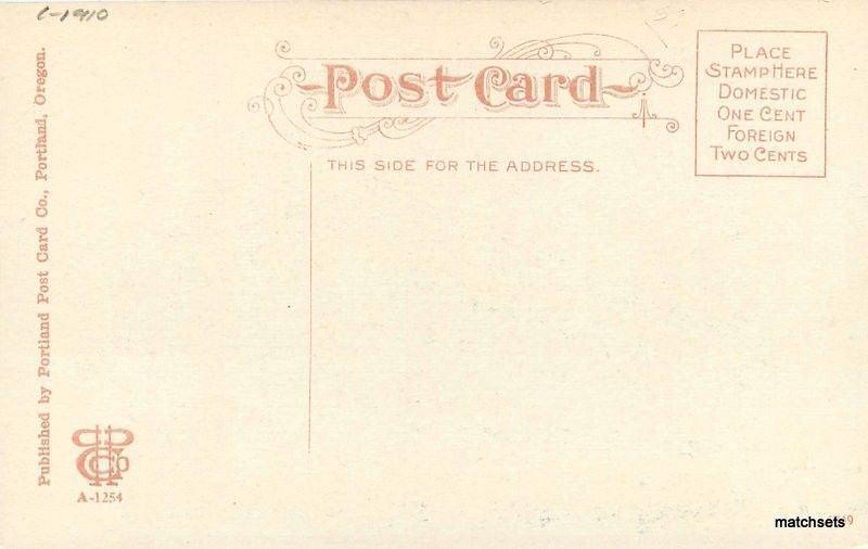 C-1910 Portland Oregon Olds Wortman King Department Store postcard 789