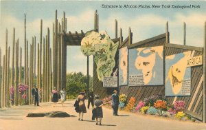 Postcard 1940 New York Entrance African Plains New Zoological Colorpicture 12120