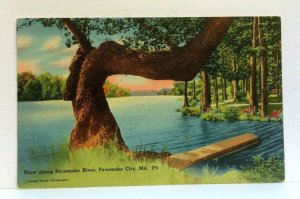 Pocomoke City Maryland MD Pocomoke River View Linen Vintage Postcard 