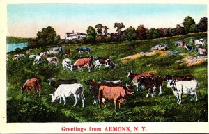 New York Greetings From Arrmonk