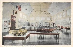 25309 NH, Wolfeboro, Interior of Libby Museum