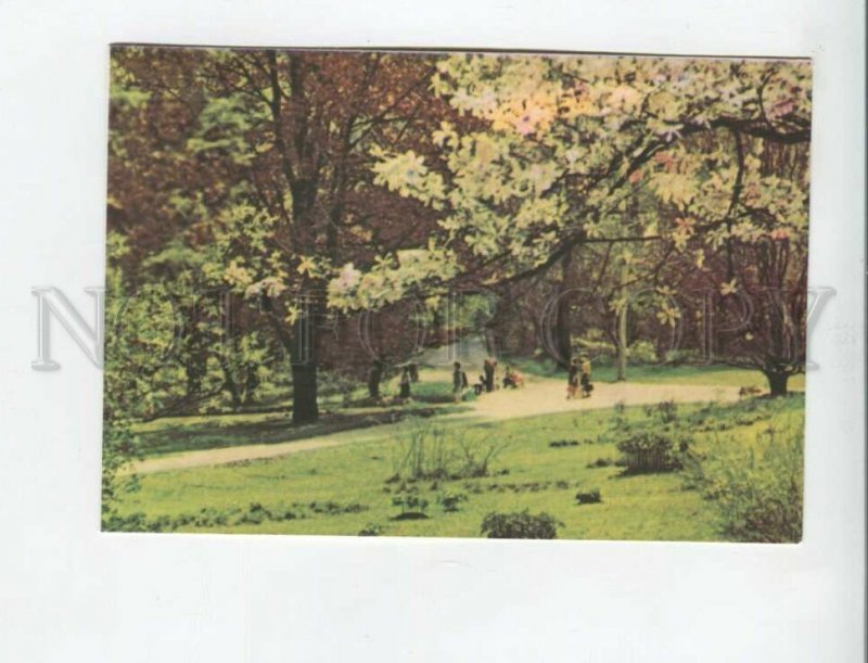 470416 USSR 1967 year Ukraine Subcarpathia Lviv Stryisky Park postcard