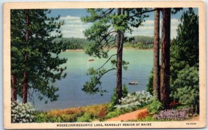 Postcard - Mooselookmeguntic Lake, Rangeley Region Of Maine