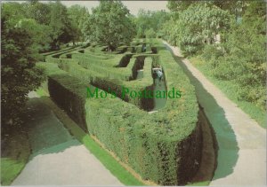 Middlesex Postcard - Hampton Court Palace - The Maze  RR15275