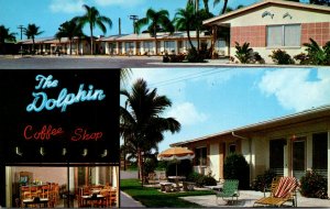 Florida St Petersburg The Dolphin Motel