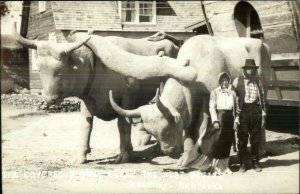 Kearney NE Giant Oxen & Wagon Sculpture Real Photo Postcard