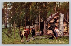 Spokane  Washington   Home of the Big Game  Black Bear Fur Hide   Postcard