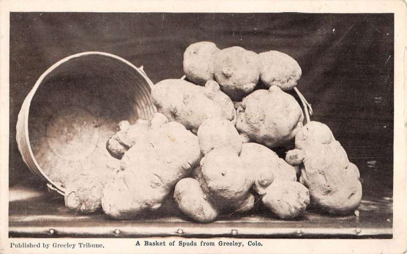 Greeley Colorado Basket of Spuds Potatos Antique Postcard K56423