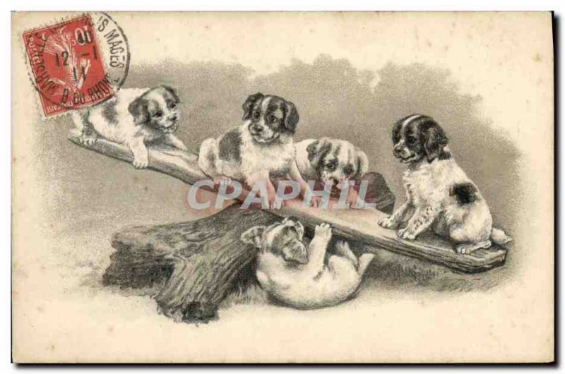 Postcard Old Dog Dogs Puppy