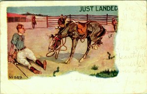 Just Landed 1906 HH Tammen Man thrown from Horse Polo  Postcard