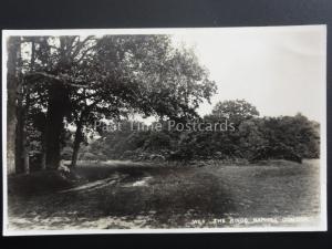 Buckinghamshire Naphill Common The Ring - High Wycombe Old Postcard WE.9-