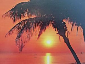 Postcard Beautiful Sunset , providing Sunset Memories.  4 x 6 Y5