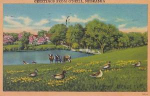 Nebraska Greetings From O'Neill 1952