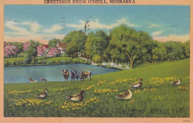 Nebraska Greetings From O'Neill 1952