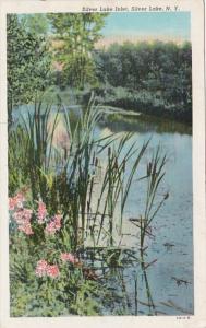 New York Silver Lake Silver Lake Inlet 1949 Curteich