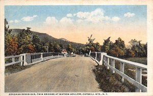 Ashokan Reservoir Twins Bridge New York