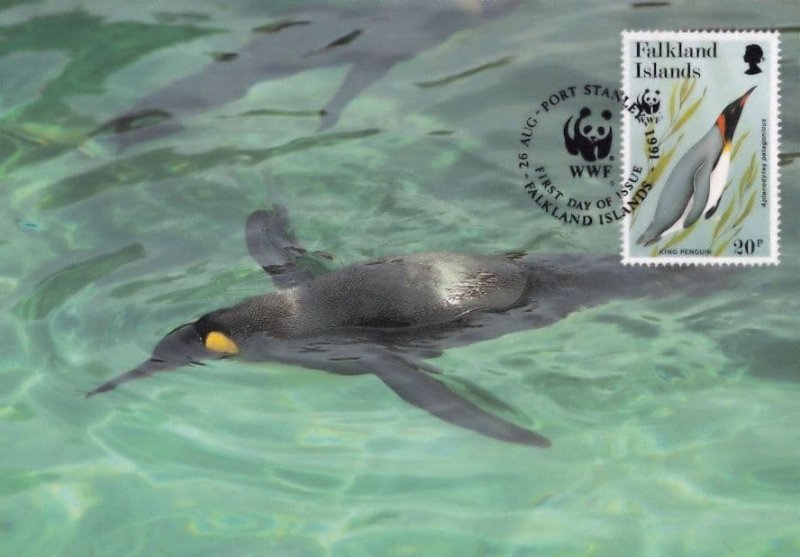 King Penguin s Swimming in Falkland Islands Sea Bird WWF Stamp FDC Postcard