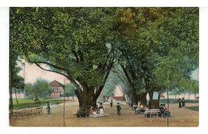 MA - Salem. Salem Willows Park